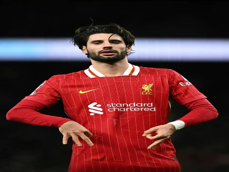 索博：如果有球迷不相信利物浦能逆转，就待在家里别来现场